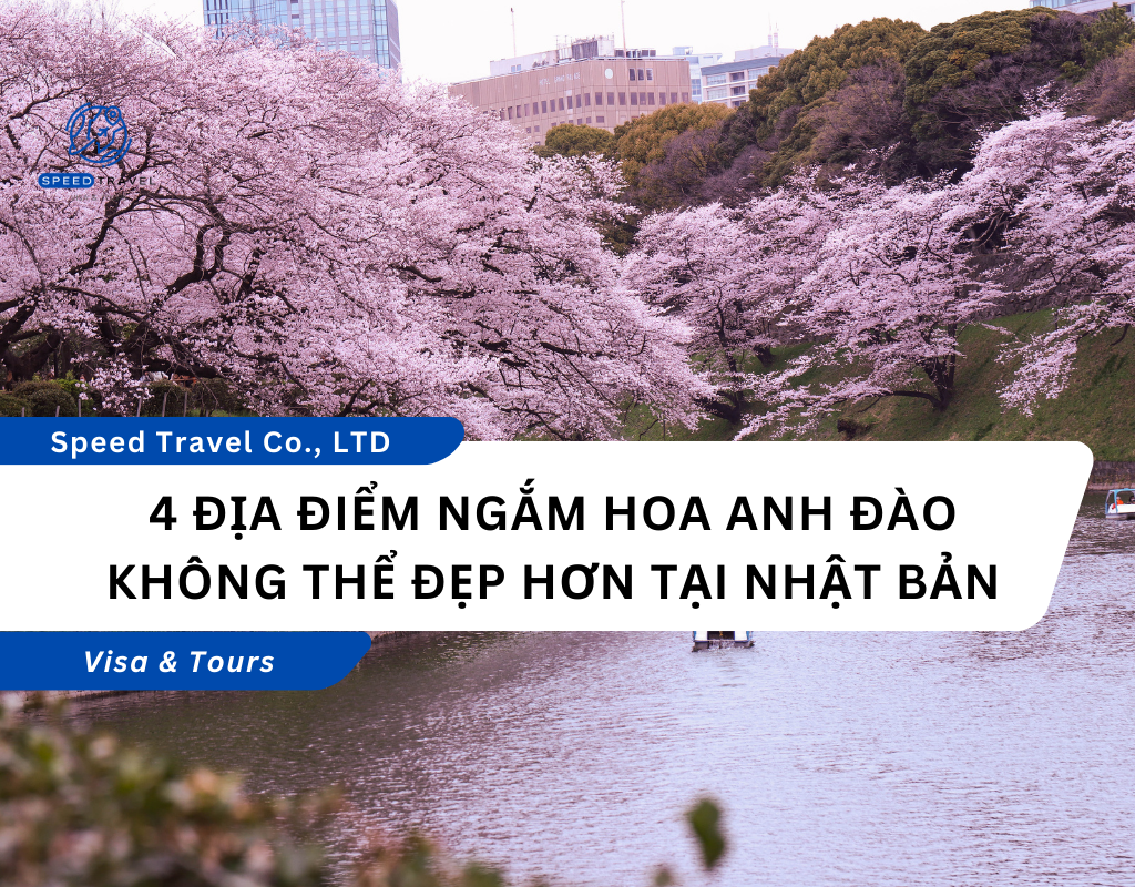 4 địa điểm ngắm hoa anh đào không thể đẹp hơn tại Nhật Bản