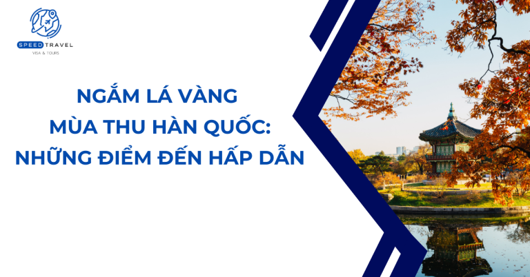 Bản đồ ngắm lá vàng mùa thu Hàn Quốc_ Những điểm đến hấp dẫn- Speed Travel