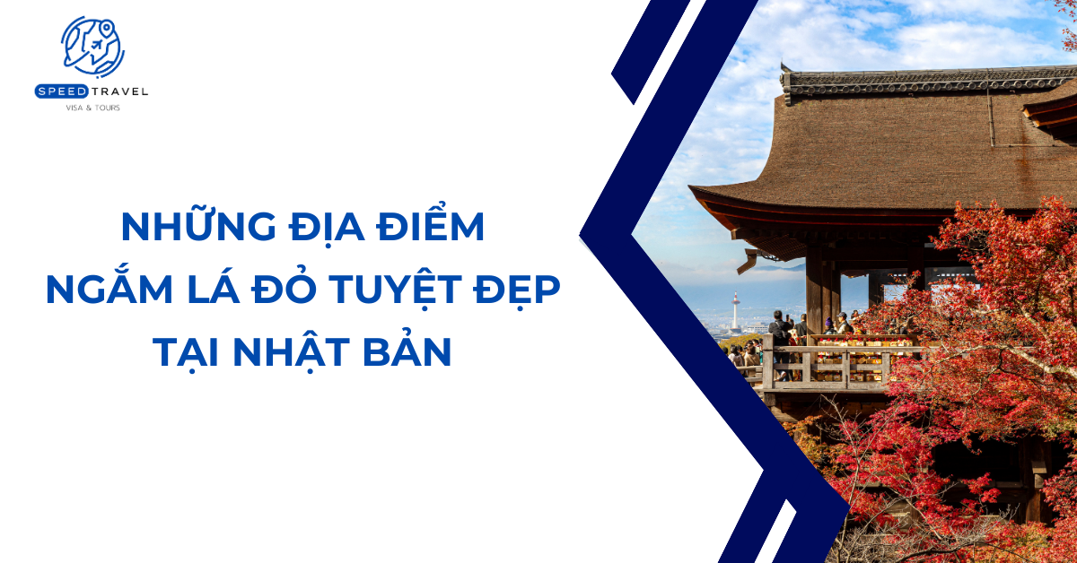 Du lịch Nhật Bản mùa thu 2024_ Những địa điểm ngắm lá đỏ tuyệt đẹp- Speed Travel