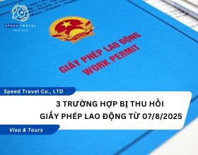 3 Trường Hợp Bị Thu Hồi Giấy Phép Lao Động Từ 0782025
